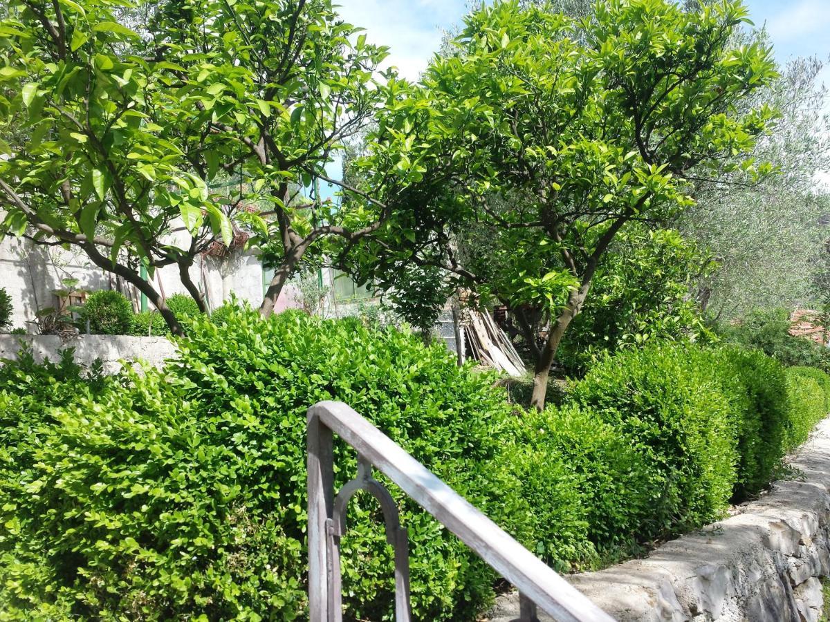Hoxha Rooms Ulcinj Exterior photo